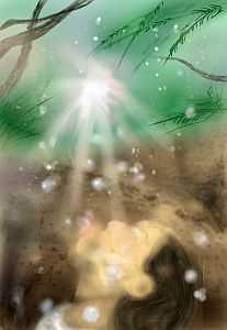 三浦涼桜の作品